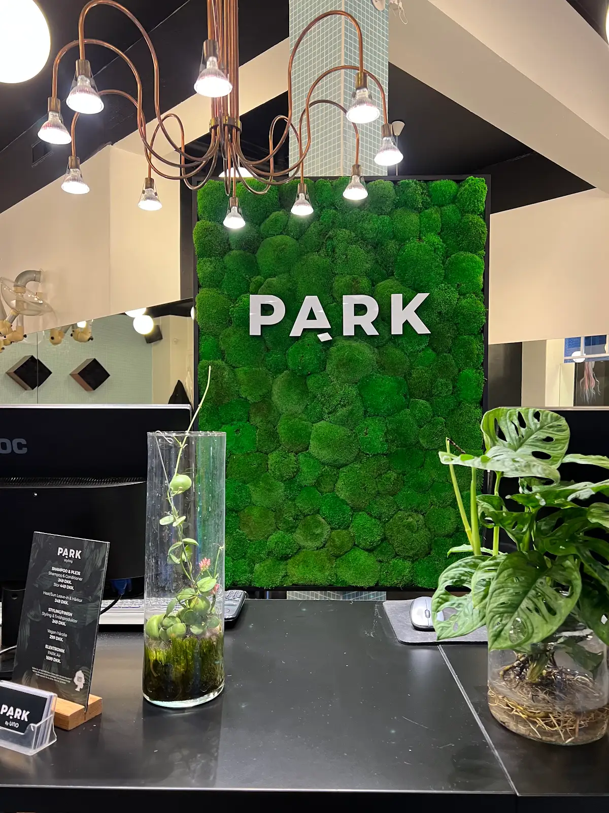 PARK mosvæg ved receptionen